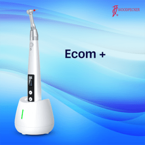 Ecom +