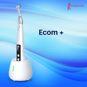 Ecom +