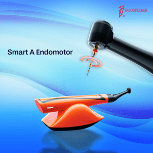 Endomotor Smart – A