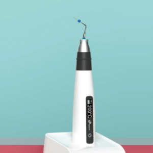 Fast Fill- 3D Obturation