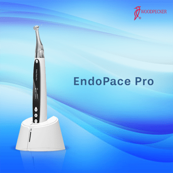 Woodpecker Endopace Pro