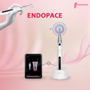 Woodpecker Endopace