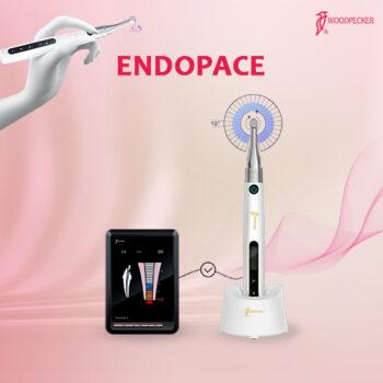 Woodpecker Endopace