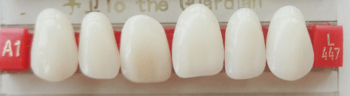 DD+ Synthetic Teeth Set of 6 Upper