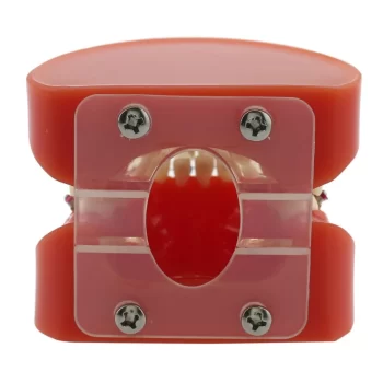 DD+ Ortho Education - Jaw Set [] - Image 5