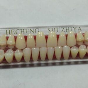 DD+ Synthetic Teeth - Full Set - A1