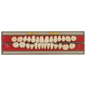 DD+ Porcelain Teeth Set