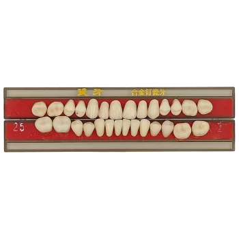 DD+ Porcelain Teeth Set
